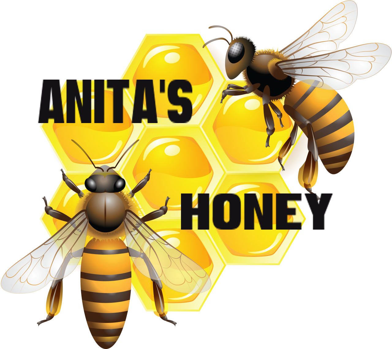logo3
